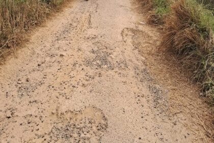 भ्रष्टाचार का पर्याय बनी डेढ साल पहले बनी सड़क