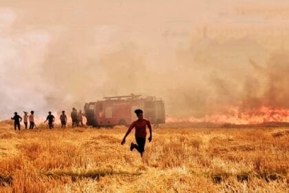 1200 बीघा फसल जलकर खाक, डीएम, एसडीएम ने किया मुआयना