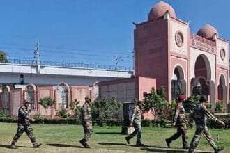 उपलब्धियों के नए शिखर पर जामिया : दूरदर्शी नेतृत्व और सुशासन का प्रभाव